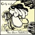 SLOW DOWN TALLAHASSEE / CURLY CUH
