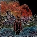 IRON & WINE / アイアン・アンド・ワイン / KISS EACH OTHER CLEAN(LP)
