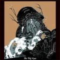 JOY FORMIDABLE / ジョイ・フォーミダブル / BIG ROAR