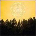 DECEMBERISTS / ディセンバリスツ / KING IS DEAD