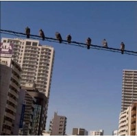 Osamu Okuno / オクノ修 / 出会ったとき～オクノ修、高田渡を歌う～