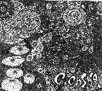 GOGASHA / 毒の壺