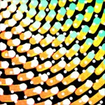 group_inou / グループイノウ / ＨＥＡＲＴ