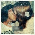KNESSET / クネセット / カミング・オブ・エイジ