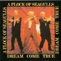 A FLOCK OF SEAGULLS / ア・フロック・オブ・シーガルズ / DREAM COME TRUE