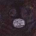 FLAGITIOUS IDIOSYNCRASY IN THE DILAPIDATION / IN THE DILAPIDATION