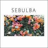 踊ってばかりの国 / ＳＥＢＵＬＢＡＴシャツ付きＭ