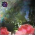 ECHO LAKE / YOUNG SILENCE