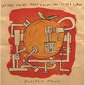 MARY HALVORSON & PETER EVANS & WEASEL WALTER / ELECTRIC FRUIT