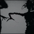 TWILIGHT SINGERS / トワイライト・シンガーズ / DYNAMITE STEPS