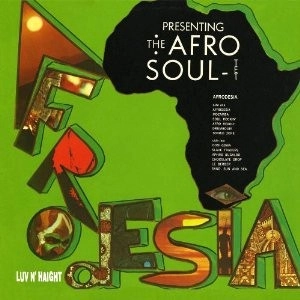 AFRODESIA / アフロデジア / THE AFRO SOULTET