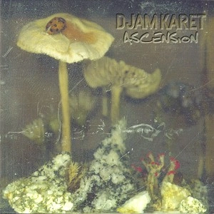 DJAM KARET / ジャム・カレット / ASCENSION