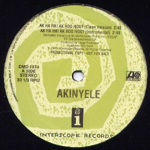 AKINYELE / アキネリ / AK HA HA! AK HOO HOO? (PROMO)