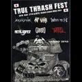 V.A. (TRUE THRASH FEST) / トウル-スラツシユフエスト2010