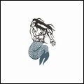 OKKERVIL RIVER / オッカーヴィル・リヴァー / MERMAID