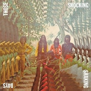 V.A. (PSYCHE) / THOSE SHOCKING SHAKING DAYS: