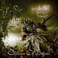 CHILDREN OF BODOM / チルドレン・オブ・ボドム / RELENTLESS, RECKLESS FOREVER