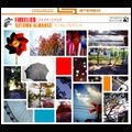 FIREFLIES / ファイヤーフライズ / オータム・アルマナック
