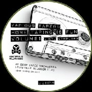 V.A.(DEEP SPACE ORCHESTRA/ANDY ASH/NICHOLAS...) / HOMETAPING IS FUN VOL.2