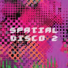 V.A. (SPATIAL DISCO) / SPATIAL DISCO 2
