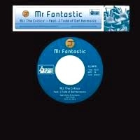 MR.FANTASTIC / ALL THE CRITICS'