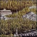 TAPE / テープ / REVELATIONES