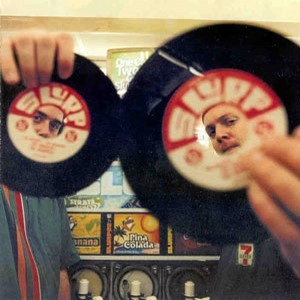 DJ SHADOW & CUT CHEMIST / BRAINFREEZE