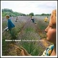 DAMON & NAOMI / デーモン&ナオミ / FALSE BEATS & TRUE HEARTS