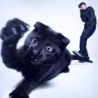 TAMAKI ROY / 環ROY / あっちとこっち