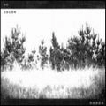 DODOS / ドードース / NO COLOR