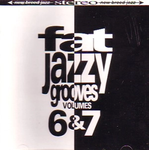 V.A. (FAT JAZZY GROOVES) / VOLUME 6 & 7