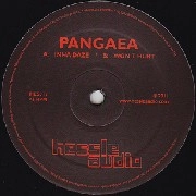 PANGAEA / パンゲア (Hessle Audio) / INNA DAZE/WON'T HURT