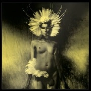 UNKLE / アンクル / WHERE DID THE NIGHT FALL ANOTHER NIGHT OUT