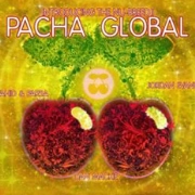 PACHA GLOBAL 2011 / Pacha Global 2011