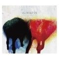 the HIATUS / Ｈａｔｃｈｉｎｇ　Ｍａｙｆｌｉ