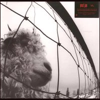 PEARL JAM / パール・ジャム / VS. (LP/180G)