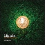 MIDLAKE / ミッドレイク / AM I GOING INSANE