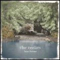 FEELIES / フィーリーズ / HERE BEFORE (LP)
