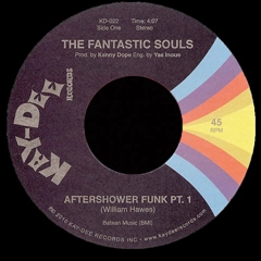 FANTASTIC SOULS / ファンタスティック・ソウルズ / AFTER SHOWER FUNK 1 & 2