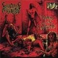 CARDIAC ARREST / HAVEN FOR THE INSANE