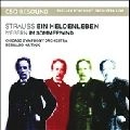 BERNARD HAITINK / ベルナルト・ハイティンク / STRAUSS:EIN HELDENLEBEN/WEBERN:IM SOMMERWI