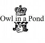 Owl in a Pond / 仮面ヒーロー（ＣＤＲ）