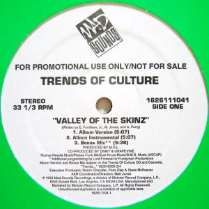 TRENDS OF CULTURE / VALLEY OF THE SKINZ