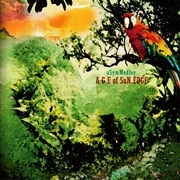 ASYMMEDLEY / AGE of SuN EDGE