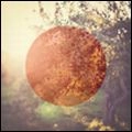 V.A. (POST CLASSICAL) / ポスト・クラシカル / FOR NIHON