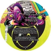 DJ PIERRE / WHAT IZ HOUSE MUZIK?