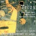 CARMEN PIAZZINI / カルメン・ピアッツィーニ / BEETHOVEN:TRIO FUR VIOLA,VIOLONCELLO UND K