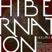 V.A.(DOWNTOWN PARTY NETWORK/MUSHROOMS PROJECT/MUDD...) / HIBERNATION VOL.2