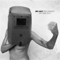 JOE LALLY / ジョーラリー / WHY SHOULD I GET USED TO IT (LP)