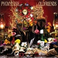PYGMYLUSH / OLD FRIENDS (レコード)